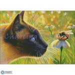 A Buzz In Sahara’s Garden (image for) A Buzz In Sahara’s Garden